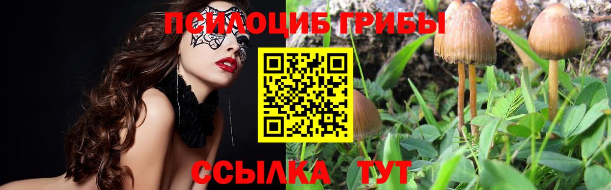 Строитель  Псилоцибиновые грибы ЛСД  Вход с VPN 